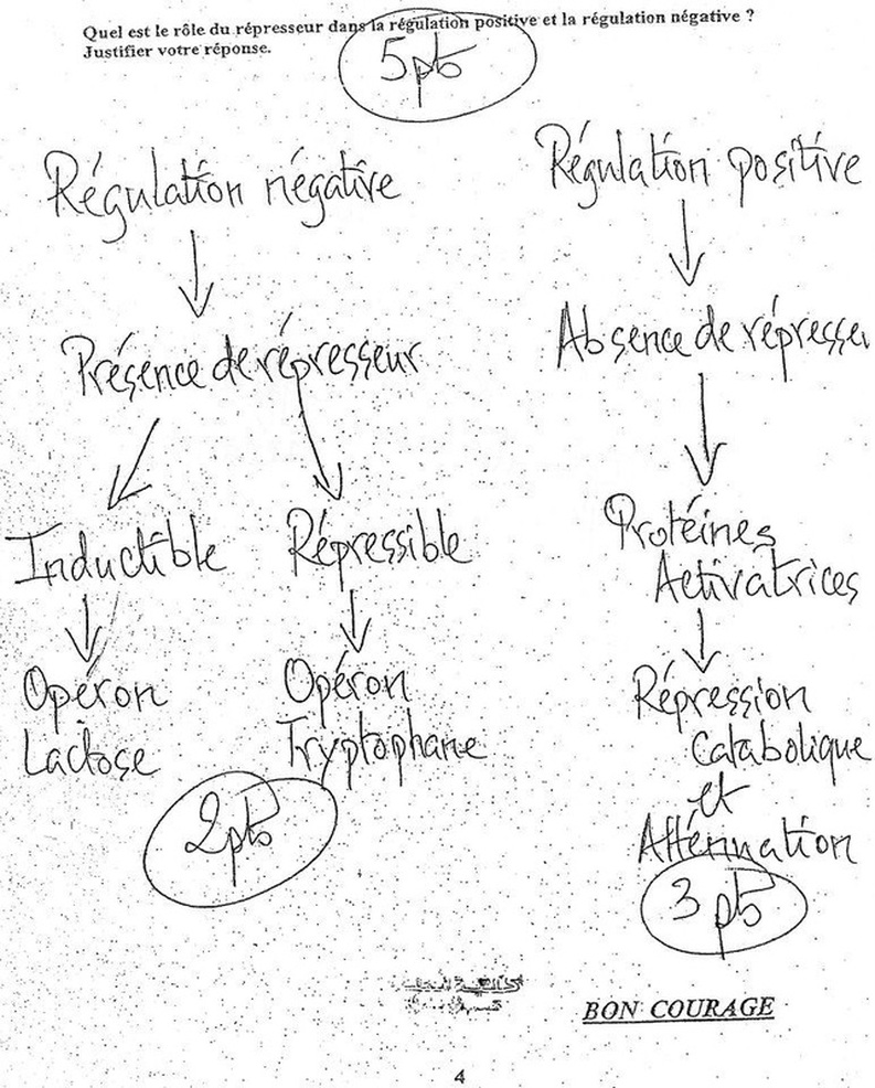 www.espace-etudiant.net - examen 2eme année pharmacie génétique4.jpg