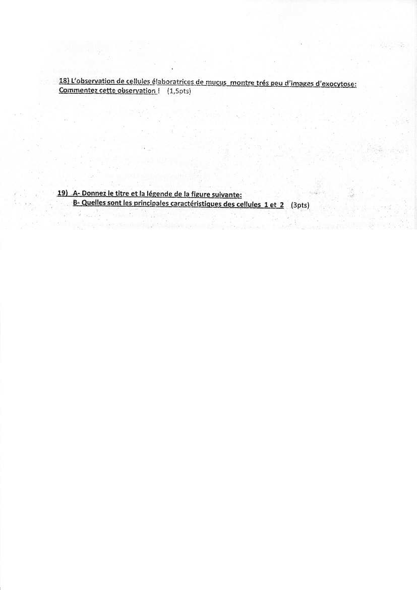www.espace-etudiant.net -  3.jpg