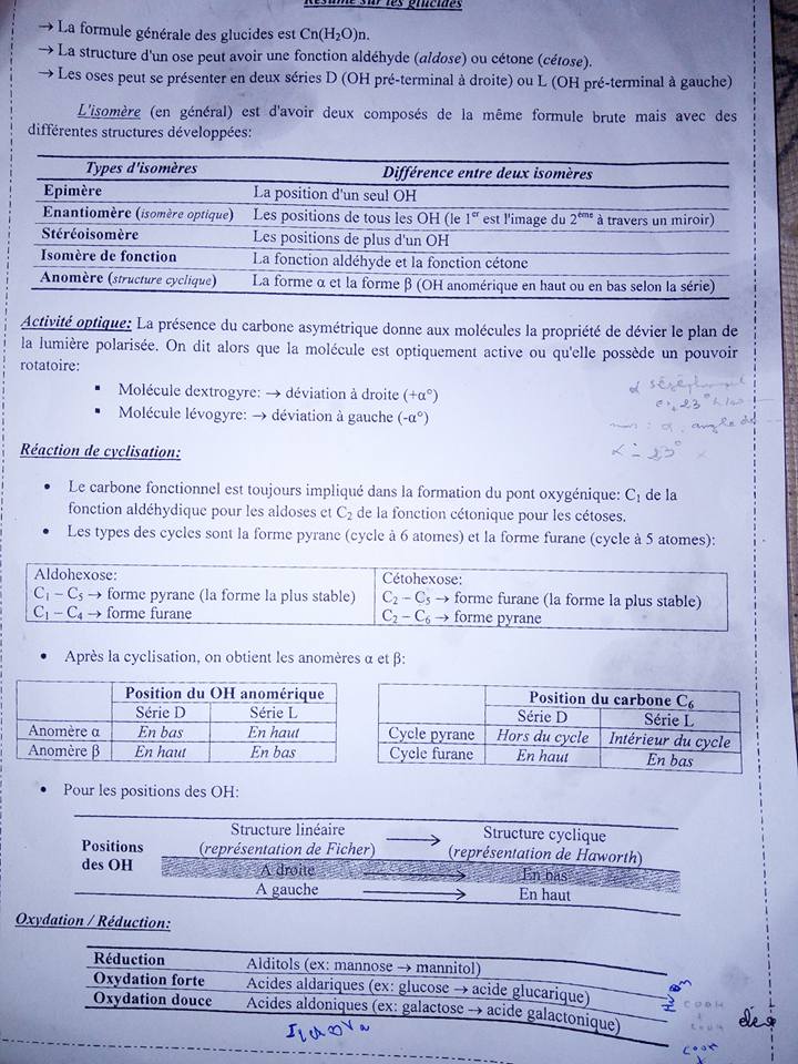 resumer biochimie les glucides.jpg