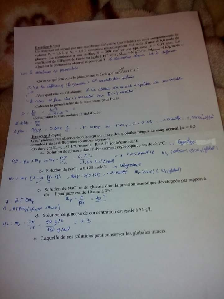 received_655702754602425.jpeg
