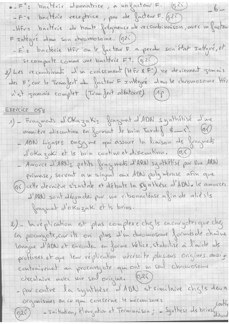 c6.jpg