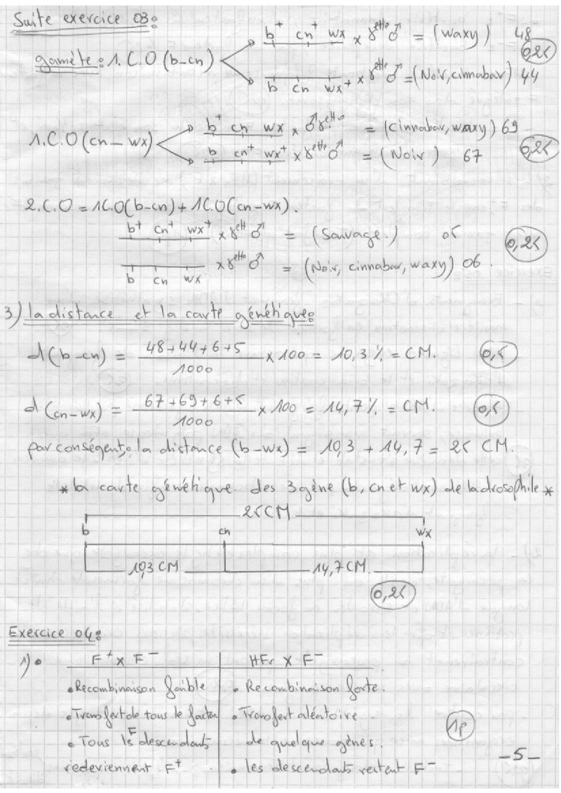 c5.jpg
