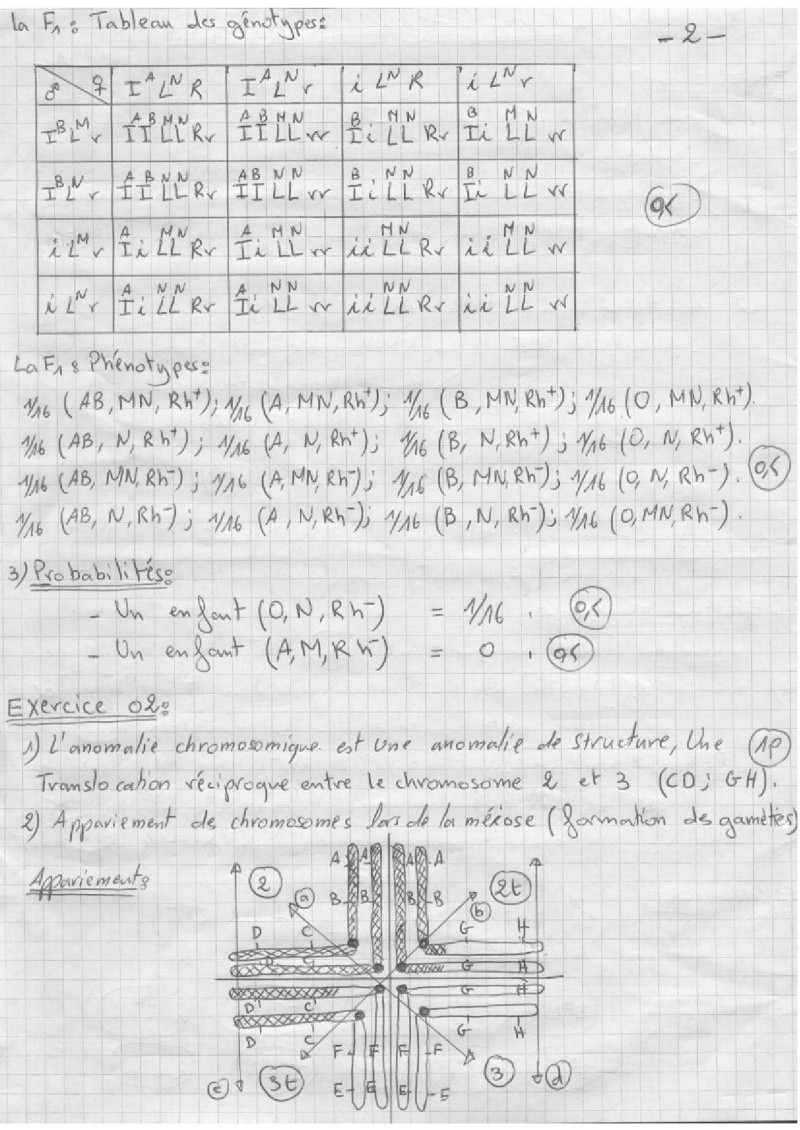 c2.jpg