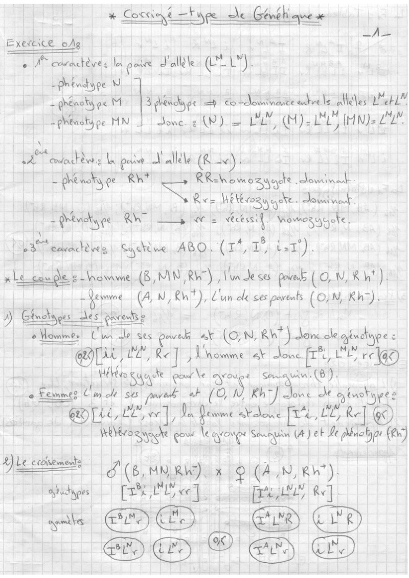 c1.jpg
