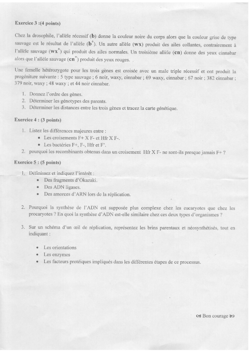 sujet 02.jpg