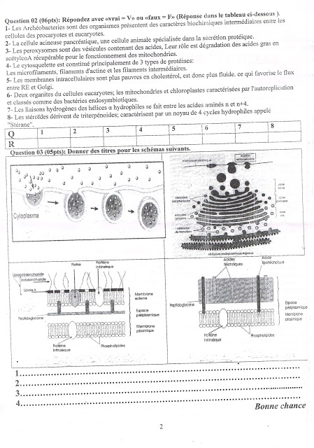 Examen Biologie Cellulaire M'sila 1 ier année biologie 02.jpg